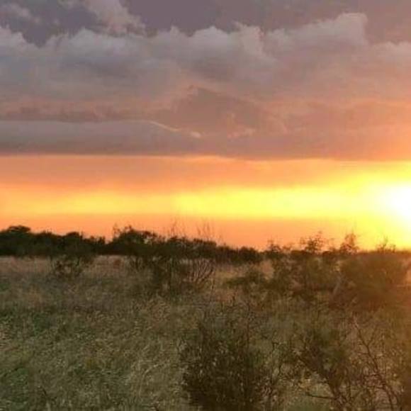 Meet your Posher, Christine - Picture 1 of 1